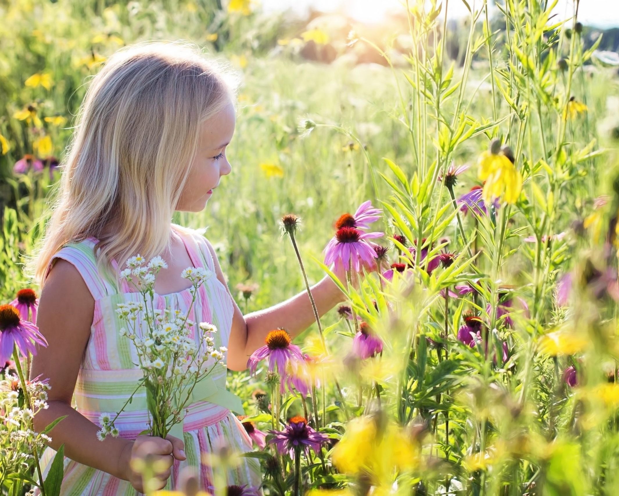 cropped-little-girl-2516578-scaled-1.jpg